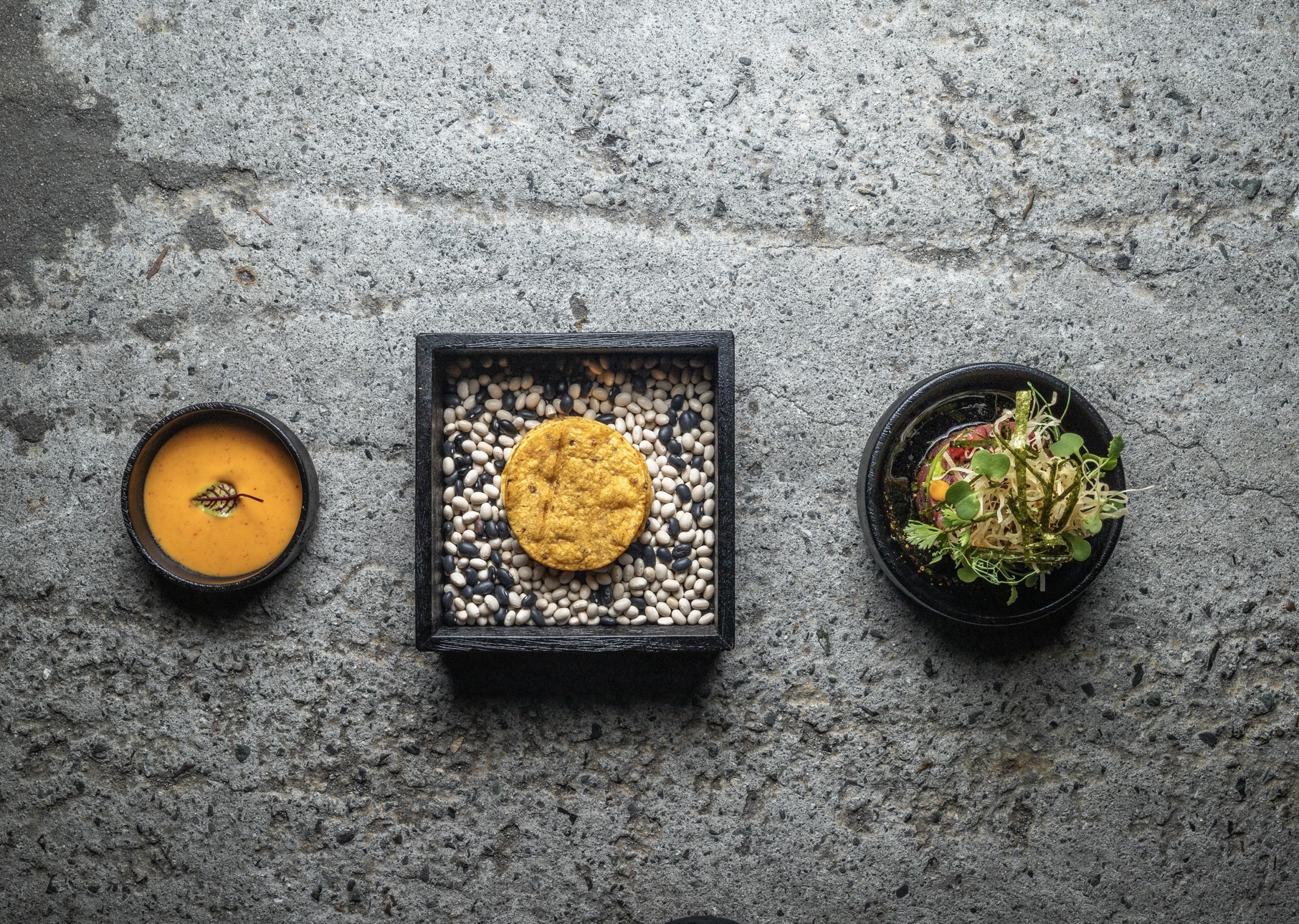 ▀ Ceviche de Atún - Ponzu - Algas Crocantes - Alioli - Hilos de Mishua